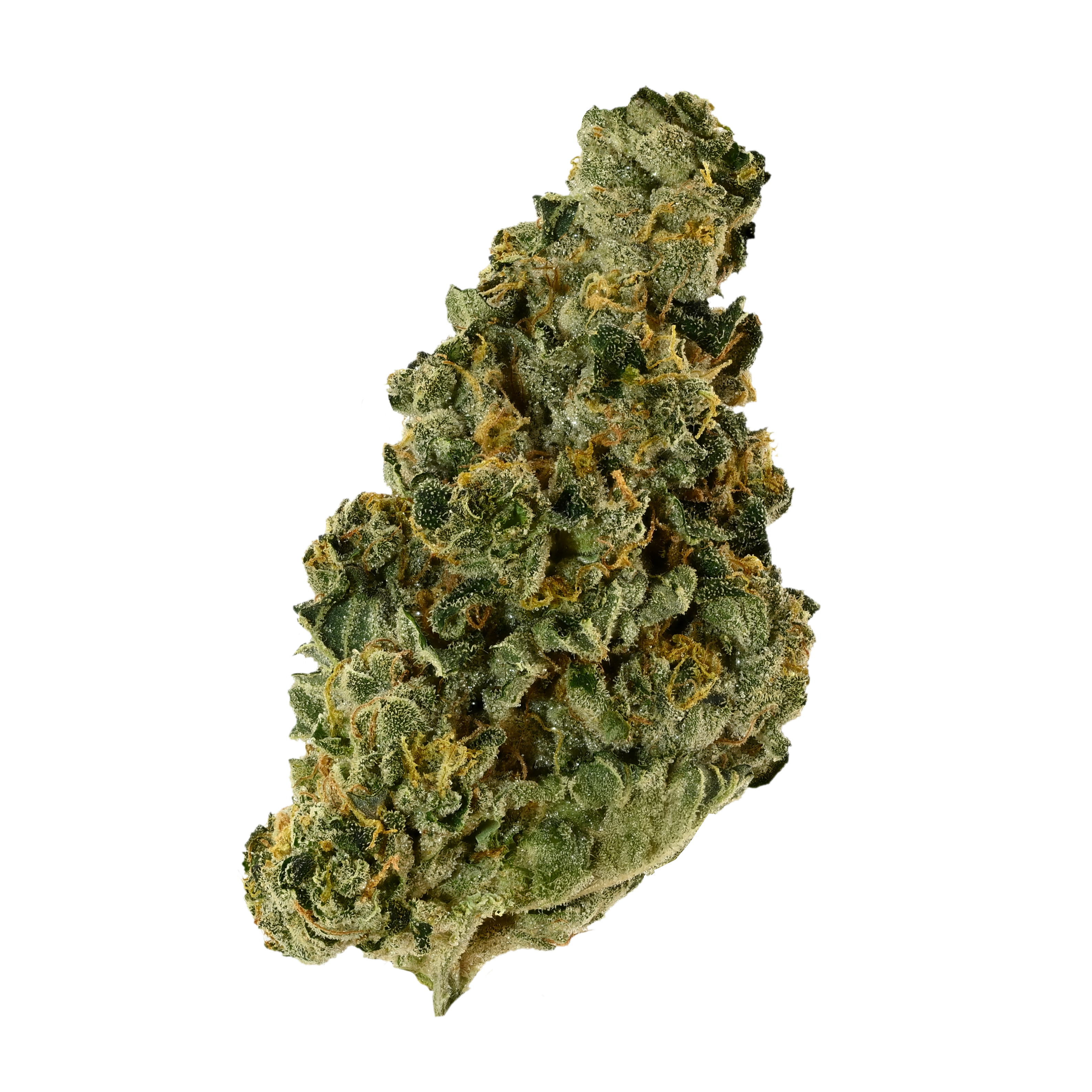 CORE Saxonia 28 01 Wedding Cake x Jet Fuel Gelato-2