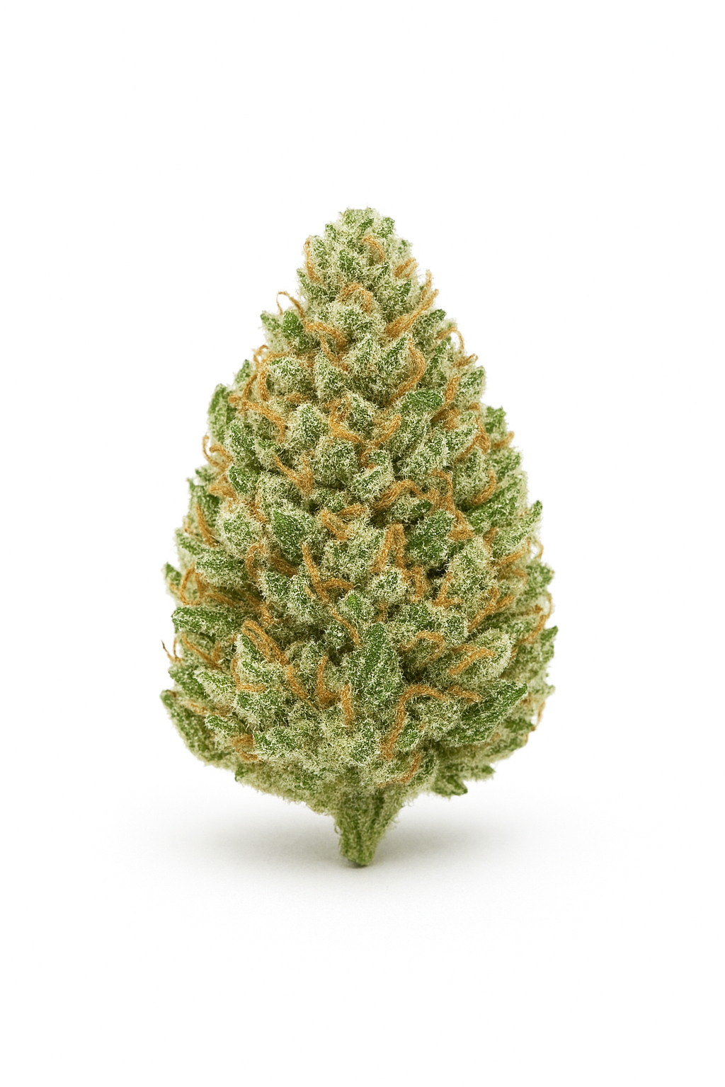Cannabis 1A 16 1 White Widow