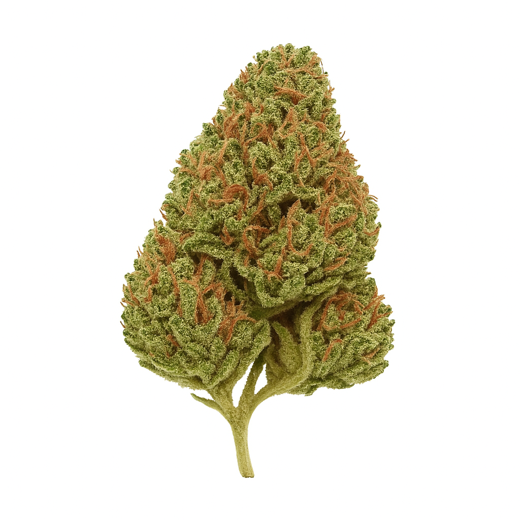 Cannamedical Hybrid Classic DK Exodus Cheese