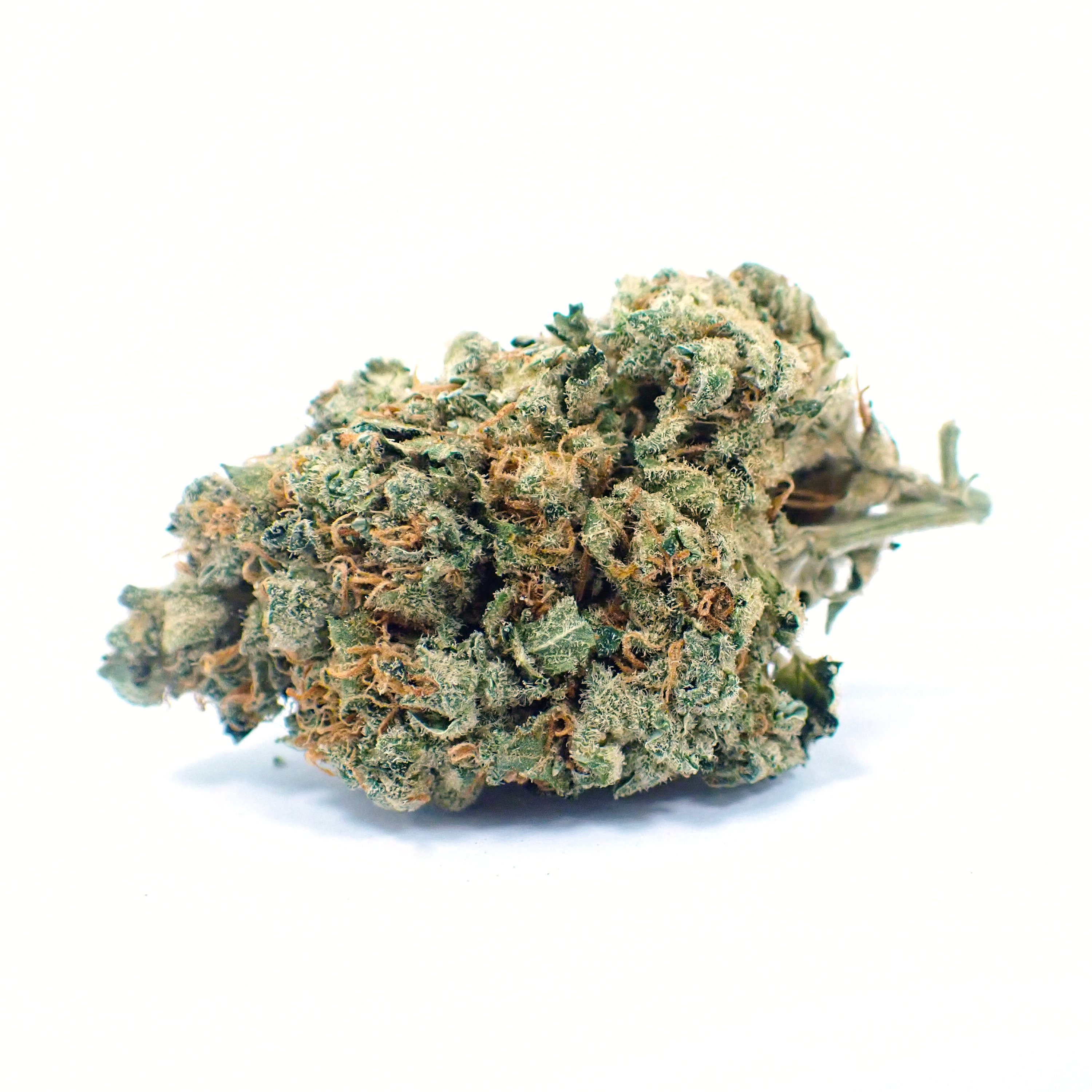 Typ 1 Demecan Bubba Kush