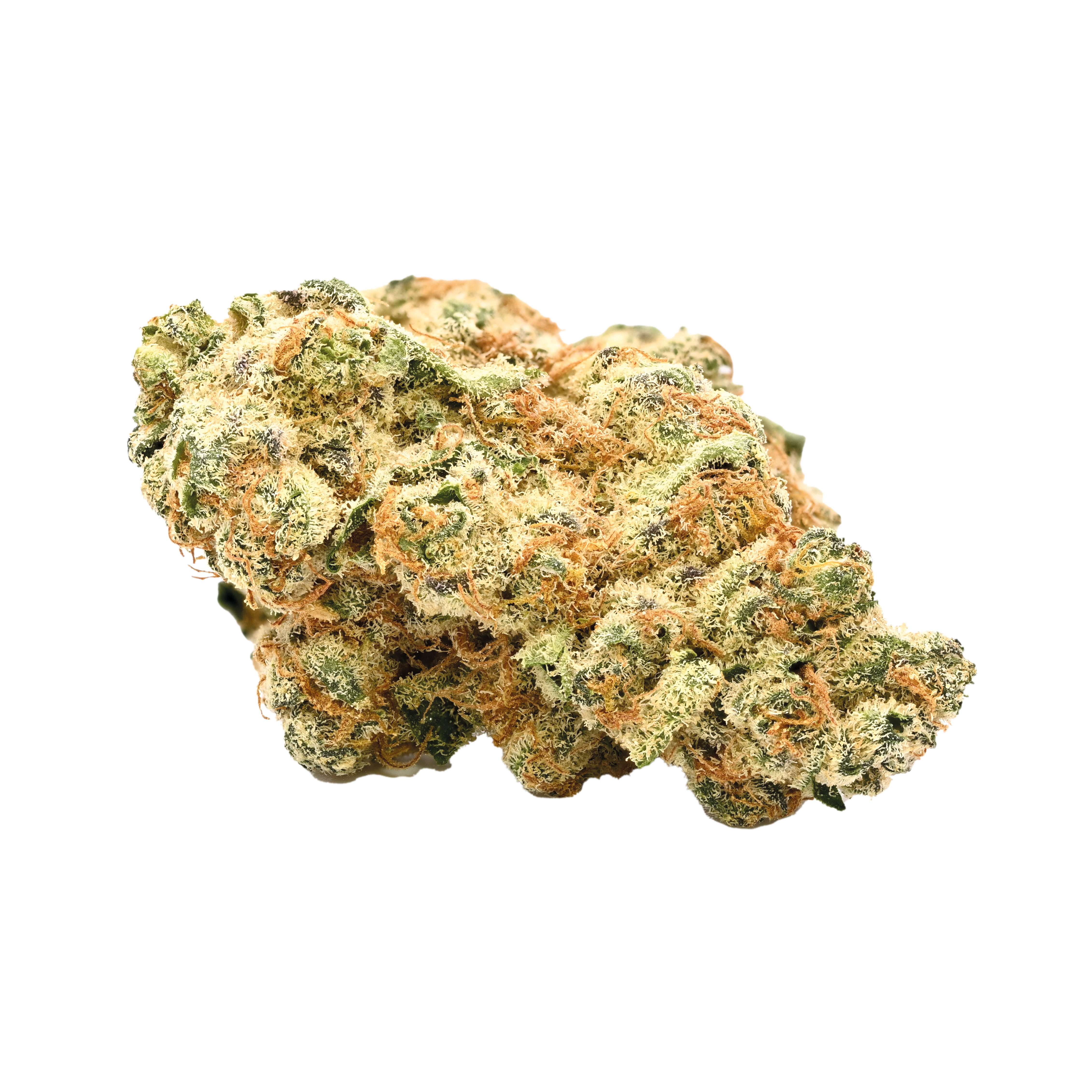 Typ 2 Demecan Orange Velvet