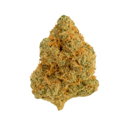 31 1 Amici AS Atomic Sour Grapefruit-1