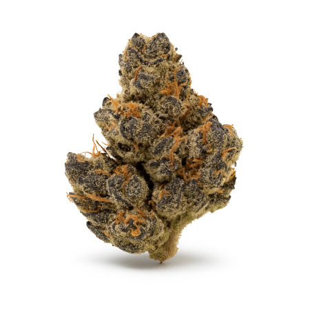 420 Compound 271 GAP Gastro Pop-1