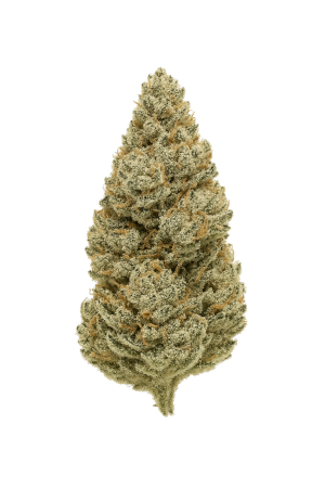 420 Evolution 33 1 CA ICC Ice Cream Cake Ice Cream Cake x Kush Mints-1