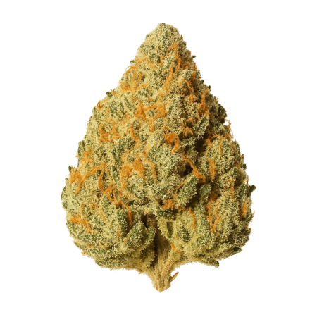 All Nations PE 25 1 Pineapple Express-1