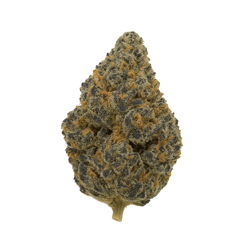 CORE JM 7 28 01 Jelly Mints-1