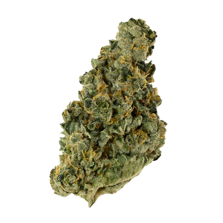 CORE Saxonia 28 01 Wedding Cake x Jet Fuel Gelato-3