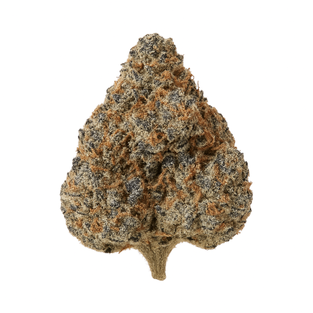 CRAFT FCF 31 01 First Class Funk