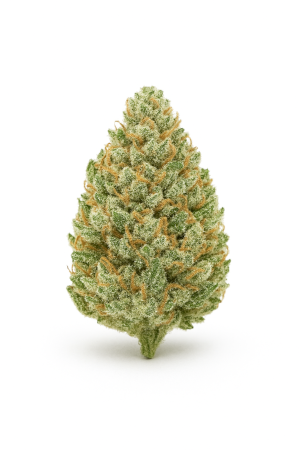 Cannabis 1A 16 1 White Widow-1