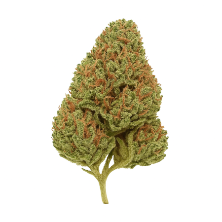 Cannamedical Hybrid Classic DK Exodus Cheese-2