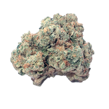 Craft D-Jungle 31 01 Purple Punch X Jungle Cake-2