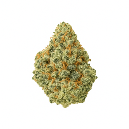 Huala 25 1 CA ALM Alien Mints-2