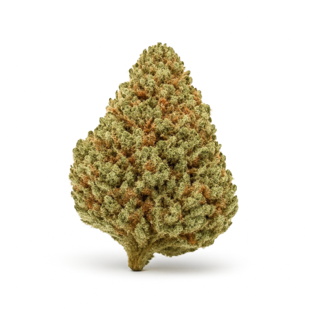 IMC THC25 T04 Strawberry OG-1