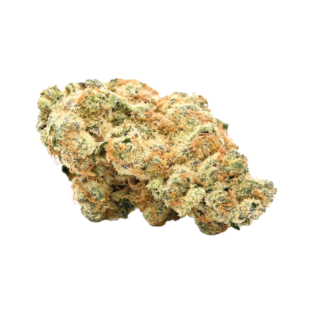 Typ 2 Demecan Orange Velvet