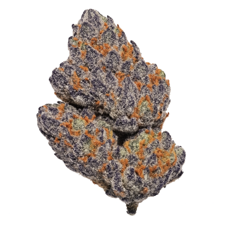 aleph purple 26 1 Straight Candy Gas-1