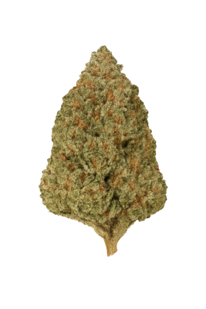 avaay Signature 29 1 OGC Ocean Grown Cookies-1